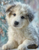 Mochi by Skyler 70x90 mit 110 Farben - Artifey Studio