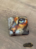 Cat by Morrigan Cover Minder