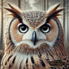 Le Duc by Diynamite 80x80 mit 140 Farben - Artifey Studio