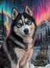 Nacht der Nordlichter by Kaida 80x110 mit 200 Farben - Artifey Studio