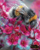Blumen Biene by Artifey 80x100 mit 260 Farben Artifey Studio
