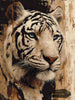 Whisper of the Tiger II by Morrigan 60x80 mit 90 Farben - Artifey Studio
