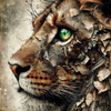 Vintage Chronicles by MAD 80x80 mit 150 Farben