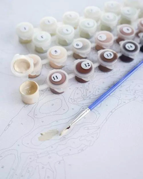 Premium Paint by Numbers “Balloon”