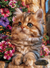 Ginger by Morrigan 80x110 mit 300 Farben
