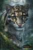 Nuvani-Streifenzug durch den Regenwald by Lexxa 60x90 mit 120 Farben Artifey Studio