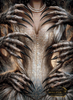Die Gier by LaViie 80x110 mit 100 Farben