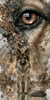 Echo des Rex by LaViie 70x140 mit 110 Farben