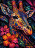 Chromira by Saphira 80x110 with 350 colors