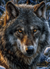 Winter Soul by Morrigan 80x100 mit 150 Farben