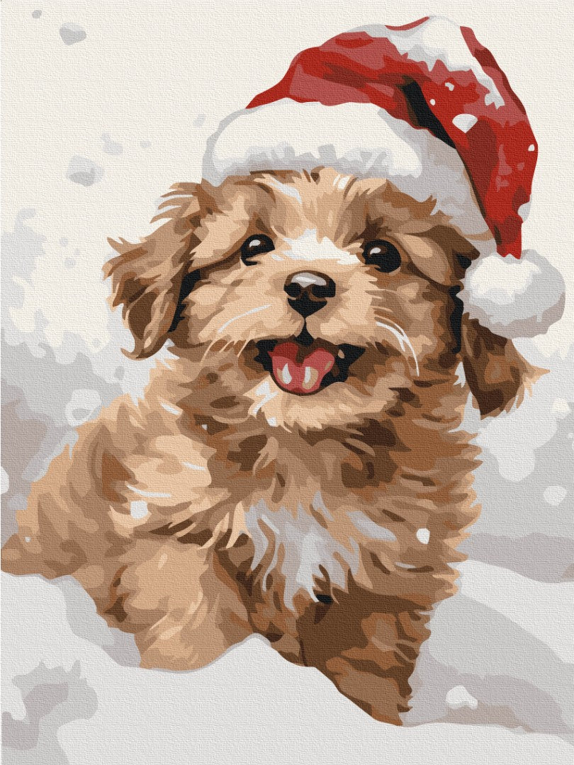Premium Paint by Numbers “Snowy Puppy”