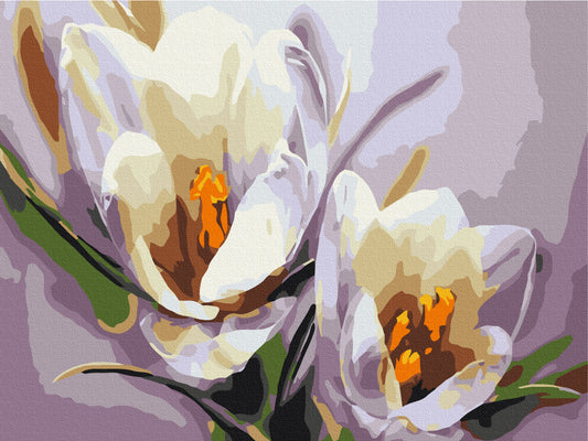 Premium Paint by Numbers “Crocuses”