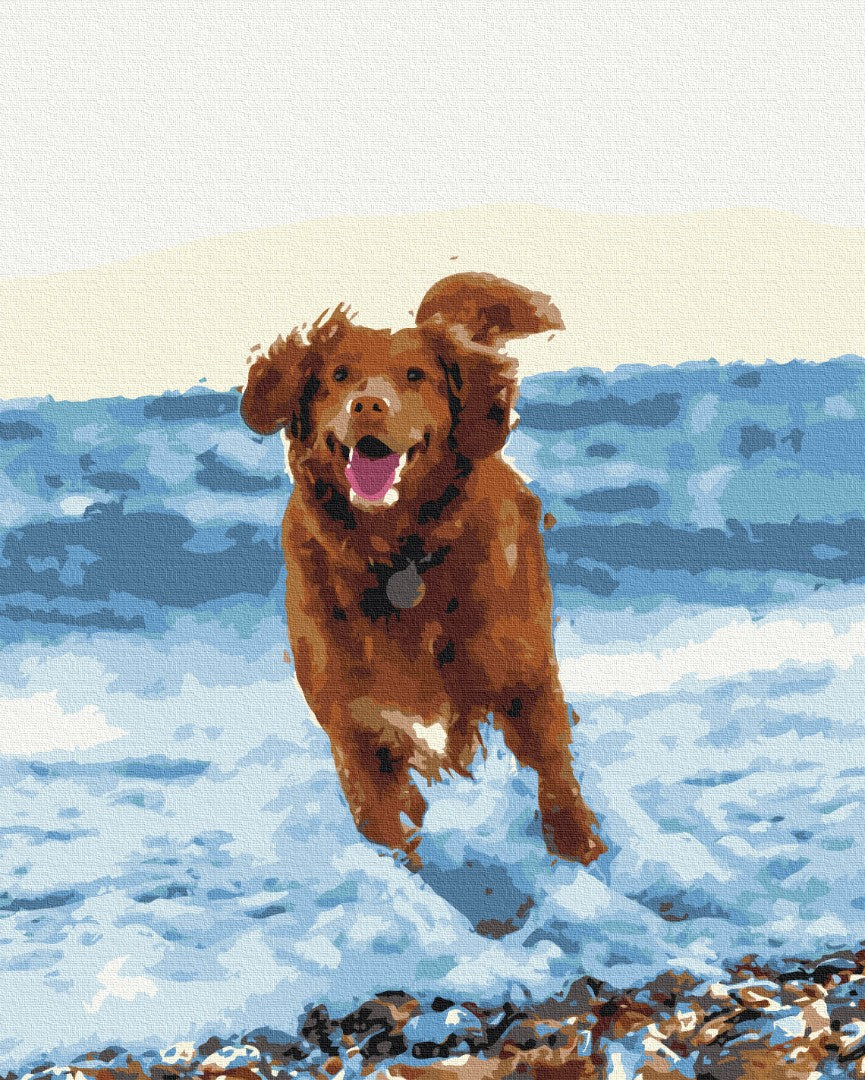 Premium Paint by Numbers “Dog in the Sea”