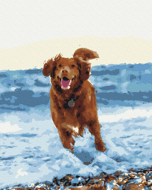 Premium Malen nach Zahlen „Hündchen im Meer“