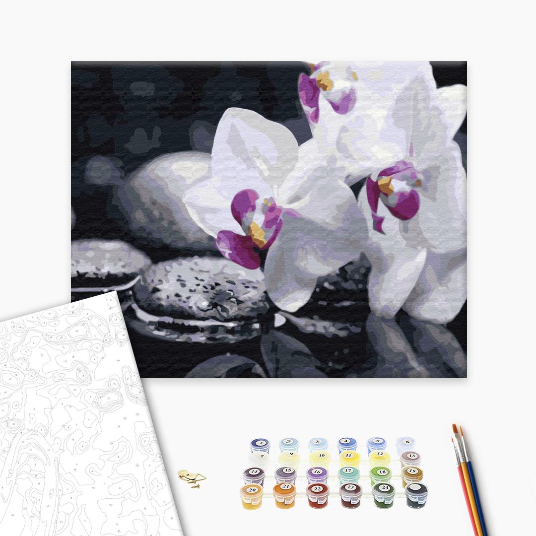 Paint by numbers “Zen Flowers”