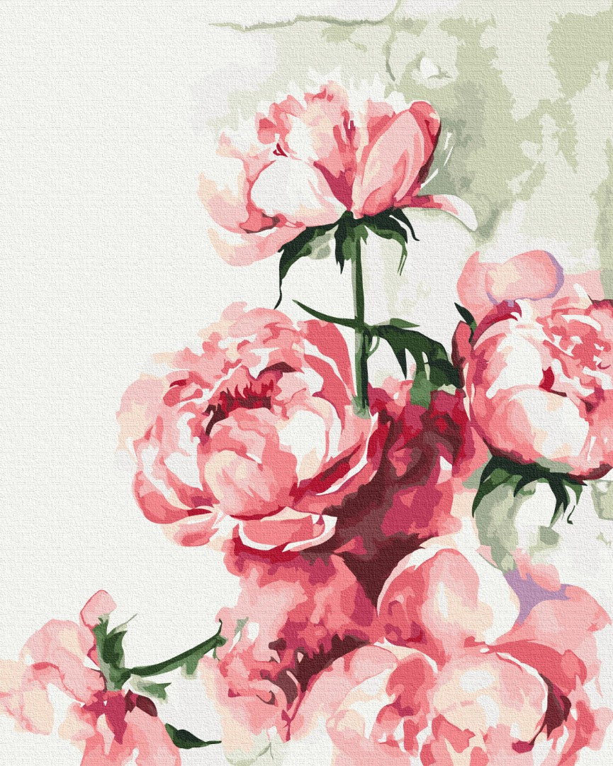 Paint by Numbers "Watercolor Peonies ©Karolina Bundash"