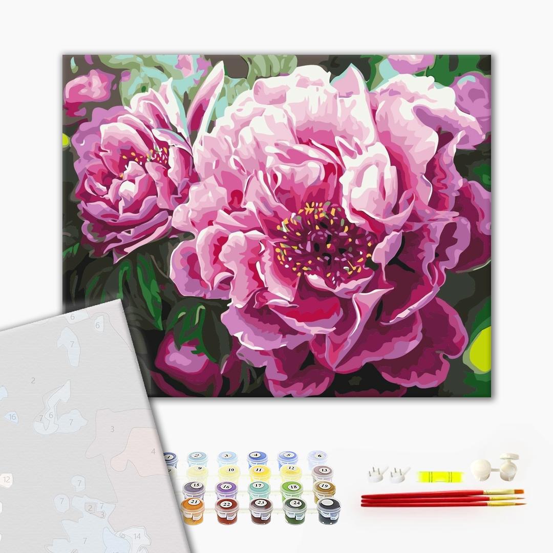 Premium Malen nach Zahlen „Luxurious peonies“