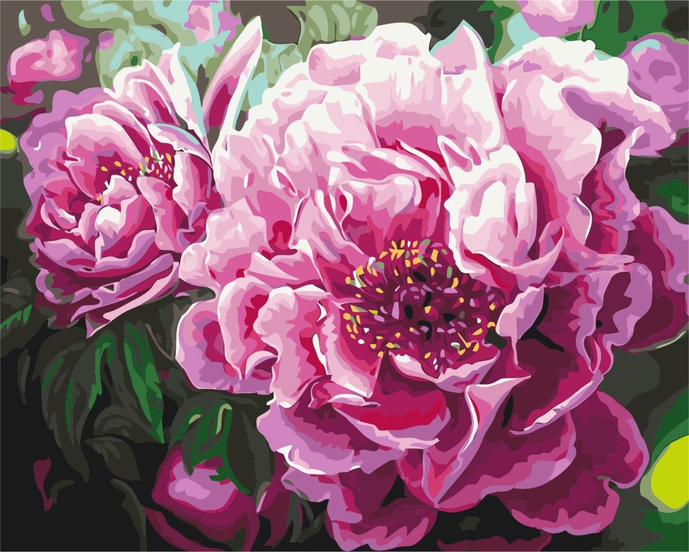 Premium Malen nach Zahlen „Luxurious peonies“
